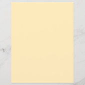 シンコデマヨ チラシ (裏面)