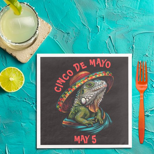 シンコ・デ・マヨイグアナ着用ソンブレロ&セラペ