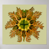 シンシアメロサクタスエルンストヘッケルファインアート ポスター (正面)