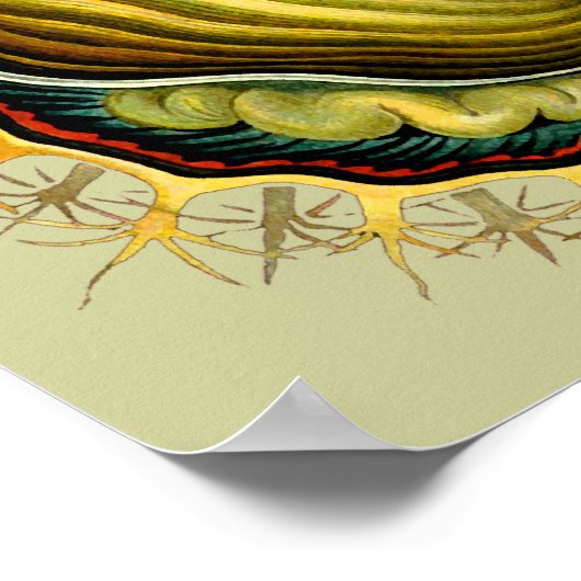 シンシアメロサクタスエルンストヘッケルファインアート ポスター (角)