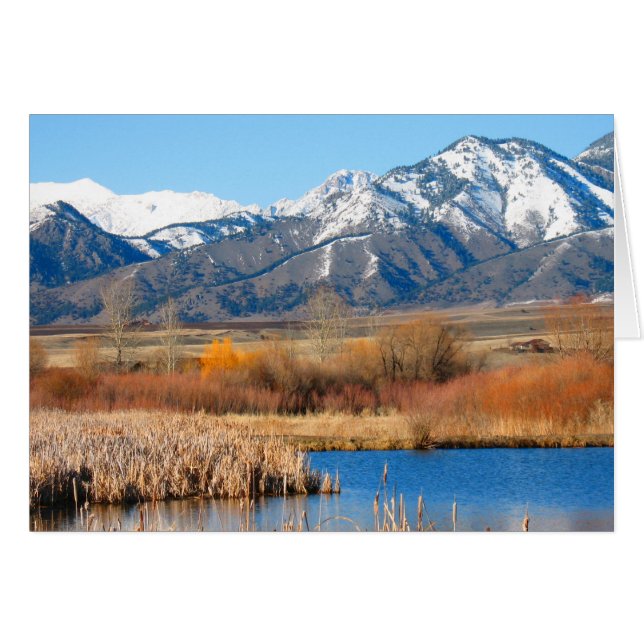 シンシアWenslow著さくらんぼの川 (正面横)