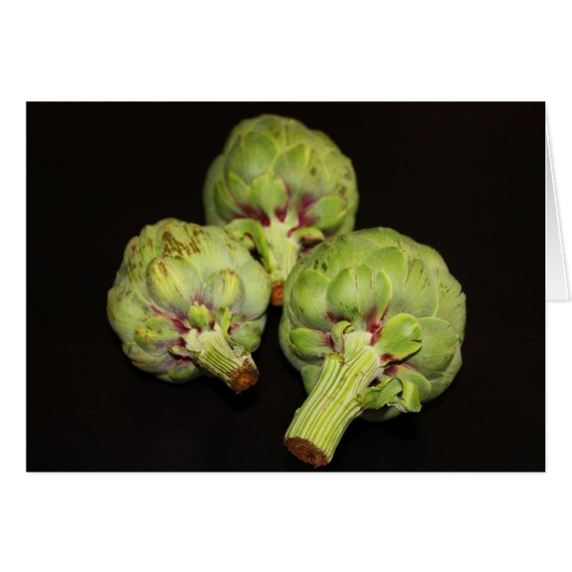 シンシアWenslow著アーティチョーク (正面横)