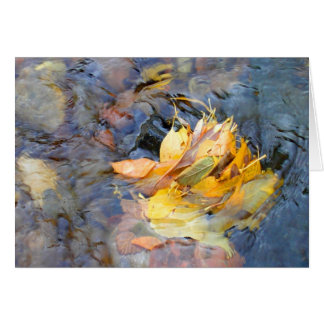 シンシアWenslow著コミュニティ