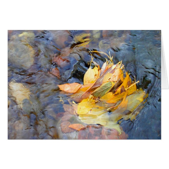 シンシアWenslow著コミュニティ (正面横)