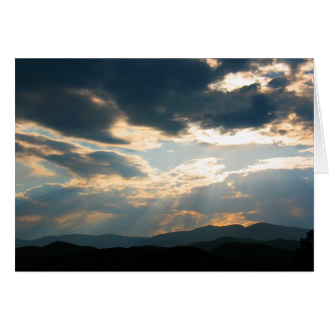 シンシアWenslow著覚醒 (正面横)