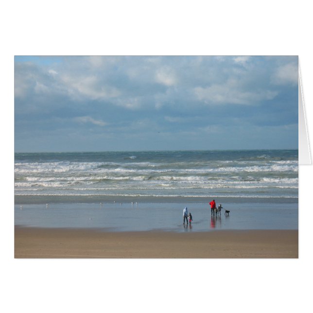 シンシアWenslow著赤いジャケット (正面横)