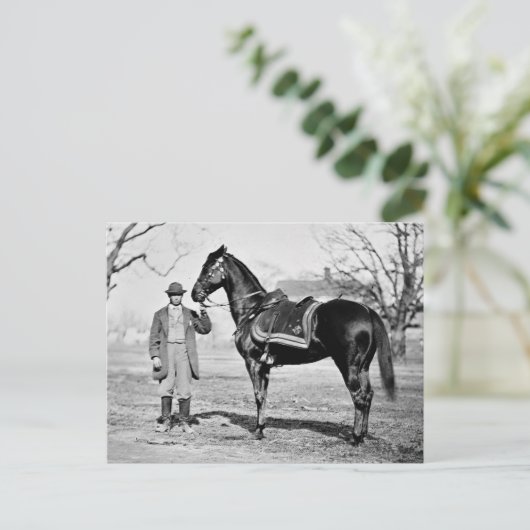 シンシナチという名の馬 ポストカード (スタンド正面)