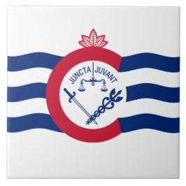 シンシナチ州旗（オハイオ） タイル