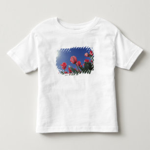 シンシナティの低い角度から見た赤いチューリップ トドラーTシャツ