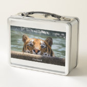 シンシナティ- メタルランチボックス (裏面)