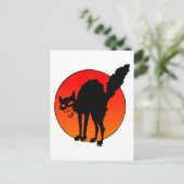 シンジケート猫 ポストカード (スタンド正面)