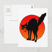 シンジケート猫 ポストカード (正面/裏面)