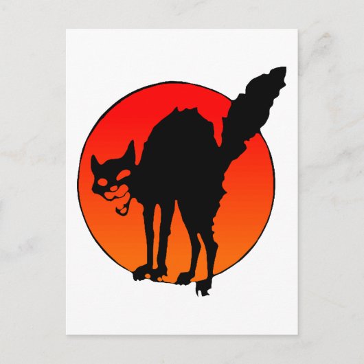 シンジケート猫 ポストカード (正面)