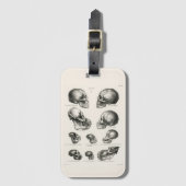 シンズデヴィッサーヒューマンモンキー&サルスカル ラゲッジタグ (正面縦)