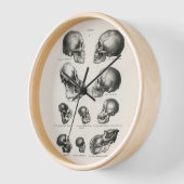 シンズデヴィッサーヒューマンモンキー&サルスカル 壁時計 (傾斜)