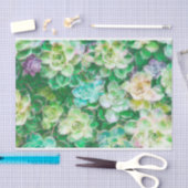 シンディBendel著絵を描いているSucculents 薄葉紙 (クラフト)