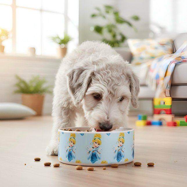 シンデレラボウル ボウル (クリエイターアップロード済み)