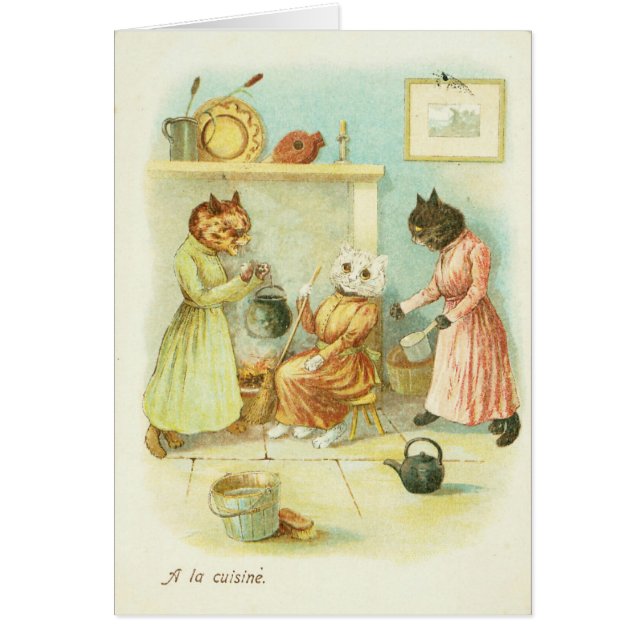 シンデレラ猫 (正面)