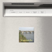 シントサーバスブリッジ，マーストリヒト マグネット (インサイチュ (食洗機))