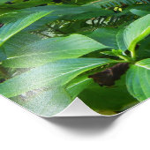 シントラポルトガル フォトプリント            (角)