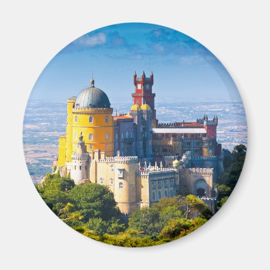 シントラ001A マグネット (正面)