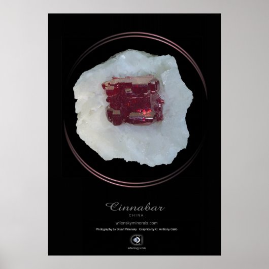 シンナバル ポスター (正面)