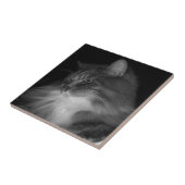 シンバのBW猫の写真 タイル (側面)