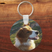 シンバ キーホルダー (正面)