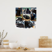 シンバ ポスター (キッチン)