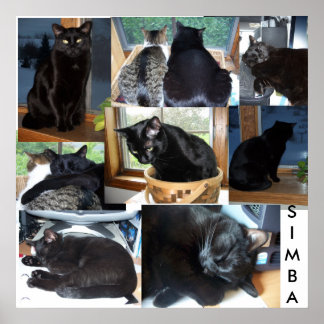 シンバ ポスター