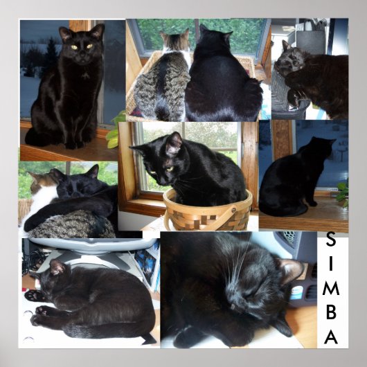 シンバ ポスター (正面)