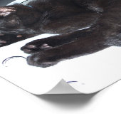 シンバ ポスター (角)