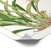 シンビジウムby谷上湖南 ポスター (角)