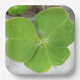 シンフォニ葉オー: 9インチスクエア紙プレート ペーパープレート