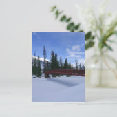 シンプソン川のトレールヘッドコオテネイ川での雪 ポストカード (スタンド正面)