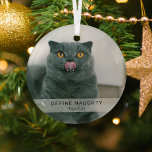 シンプルおもしろいDefineいけな Pet Photo Keepsake ガラスオーナメント<br><div class="desc">このおもしろいテンプレートでペットのクリスマスの飾シンプルりを作モダンる。デザインには犬や猫の写真、文字「DEFINE」の白いオーバーレイいけなバナー、ペットの名前が入っている。</div>