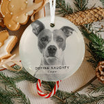 シンプルおもしろいDefineいけな Pet Photo Keepsake ガラスオーナメント<br><div class="desc">このおもしろいテンプレートでペットのクリスマスの飾シンプルりを作モダンる。デザインには犬や猫の写真、文字「DEFINE」の白いオーバーレイいけなバナー、ペットの名前が入っている。</div>