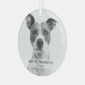 シンプルおもしろいDefineいけな Pet Photo Keepsake ガラスオーナメント (正面左)