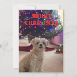 シンプルでおしゃれなクリスマスカード 招待状