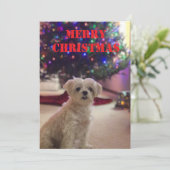 シンプルでおしゃれなクリスマスカード 招待状 (スタンド正面)