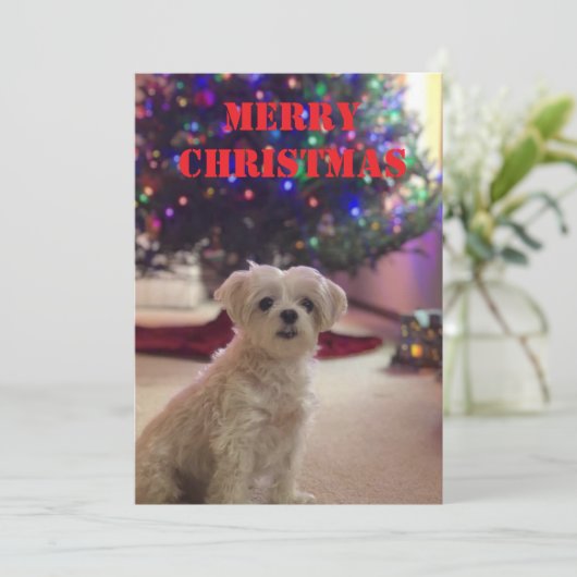 シンプルでおしゃれなクリスマスカード 招待状 (スタンド正面)