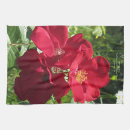 シンプルで赤いバラ キッチンタオル