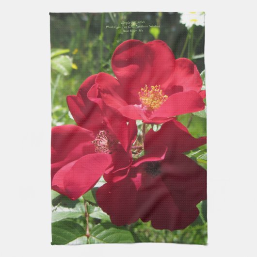 シンプルで赤いバラ キッチンタオル (縦)