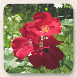 シンプルで赤いバラ コースター