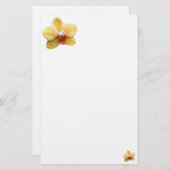 シンプルで黄色い蘭の文房具 便箋 (正面/裏面)