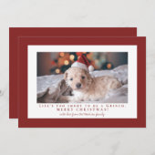 シンプルなファル赤フレーム写真 シーズンカード (正面/裏面)