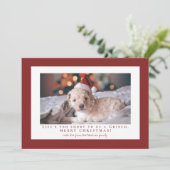 シンプルなファル赤フレーム写真 シーズンカード (スタンド正面)