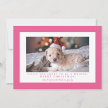 シンプルなフレンチローズフレーム写真