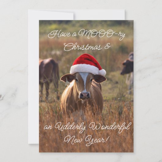 シンプルなホリデーカード シーズンカード (正面)