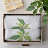 シンプルな植物画  薄葉紙 (ギフト)